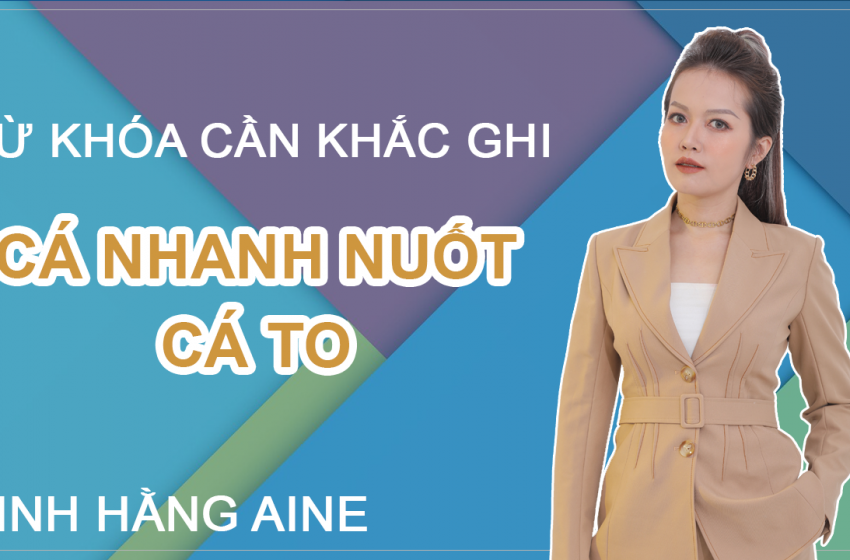 Từ Khóa Cần Khắc Ghi “Cá Nhanh Nuốt Cá To”